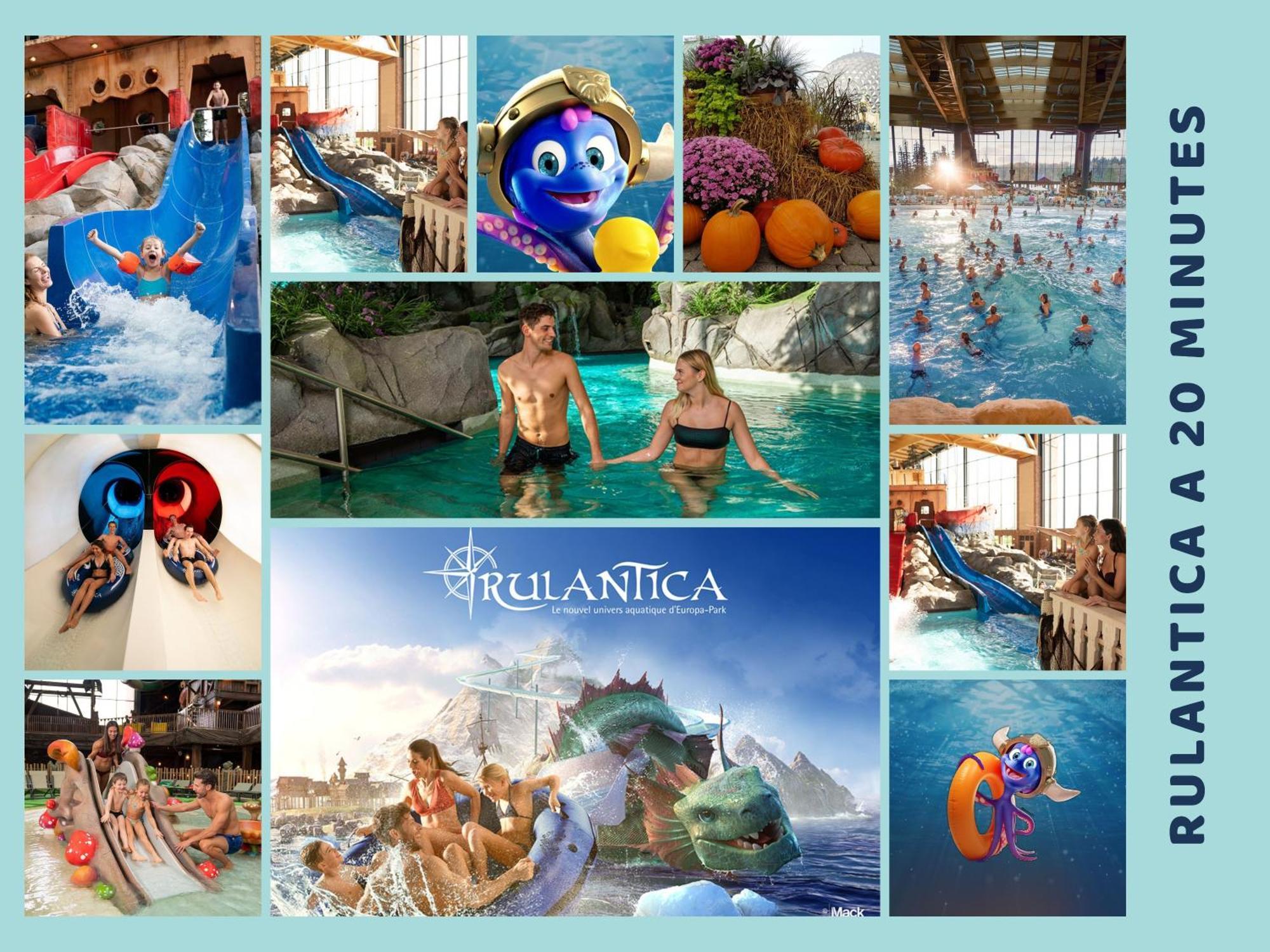 Les Pinots D'Alsace - 3 Bungalows Climatises Avec Tv - Proche Europa Park Boofzheim エクステリア 写真