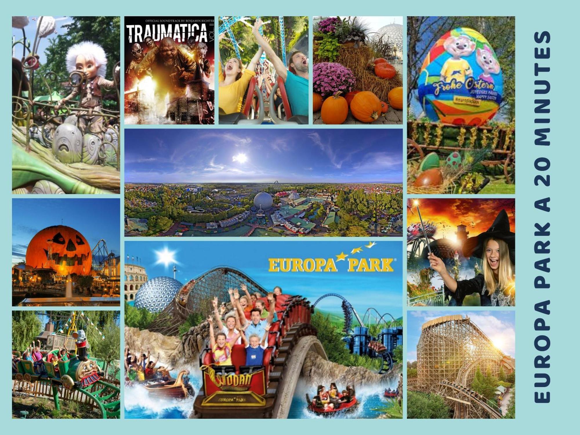 Les Pinots D'Alsace - 3 Bungalows Climatises Avec Tv - Proche Europa Park Boofzheim エクステリア 写真